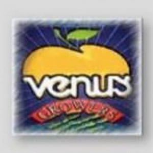 venus1